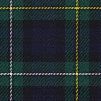 Campbell Clan Modern Remnant 230cm x 75cm