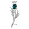 Carrick Thistle Brooch