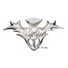 Carrick Thistle Brooch