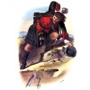 Clan MacKenzie