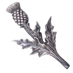 Kilt Pin - Flower of Scotland